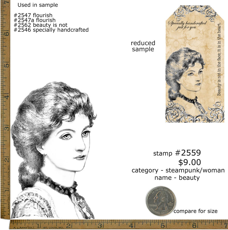 #2559 - Beauty - Steampunk/Woman